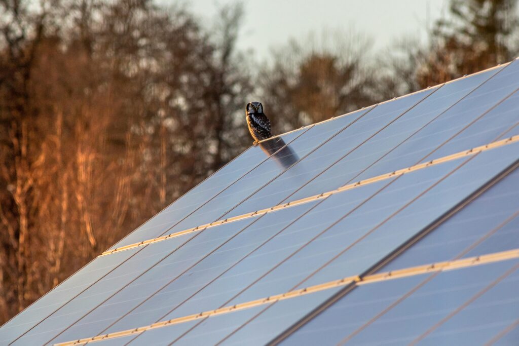 first solar panels